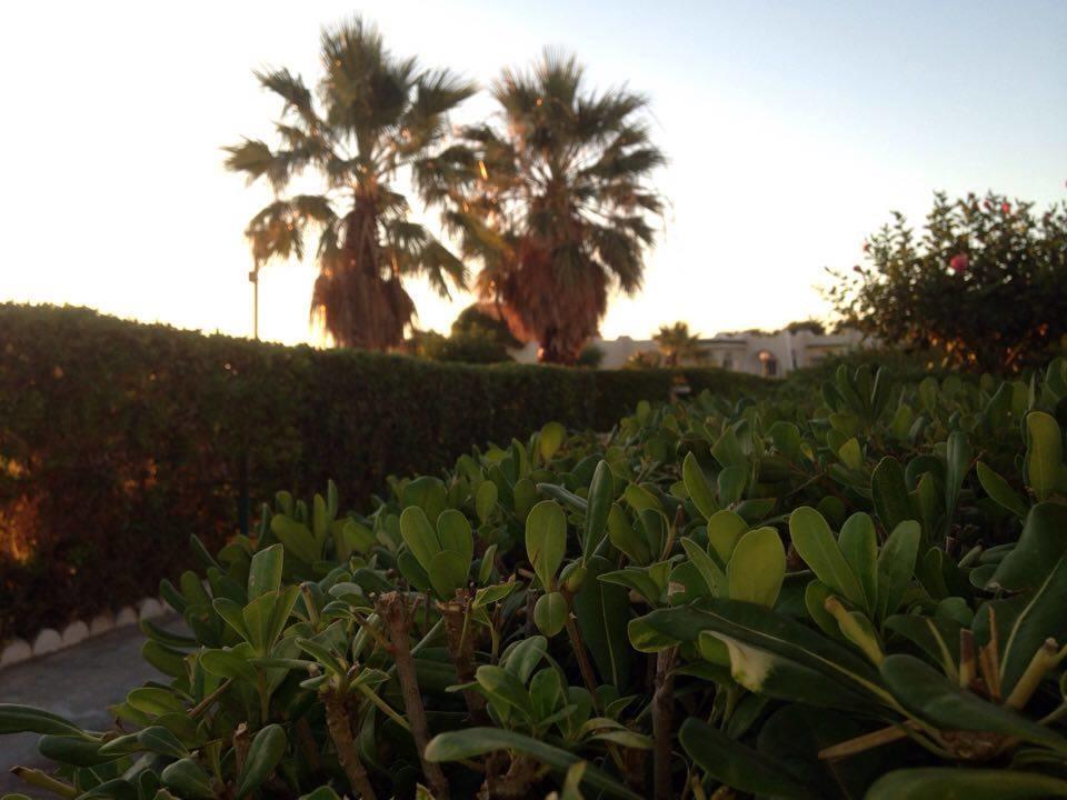 Complexe Touristique Sidi Salem Otel Bizerte Dış mekan fotoğraf